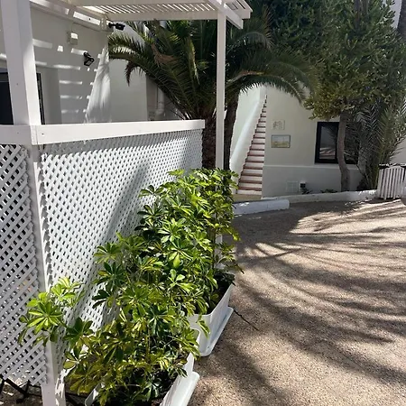 Lejlighed Punta Elena